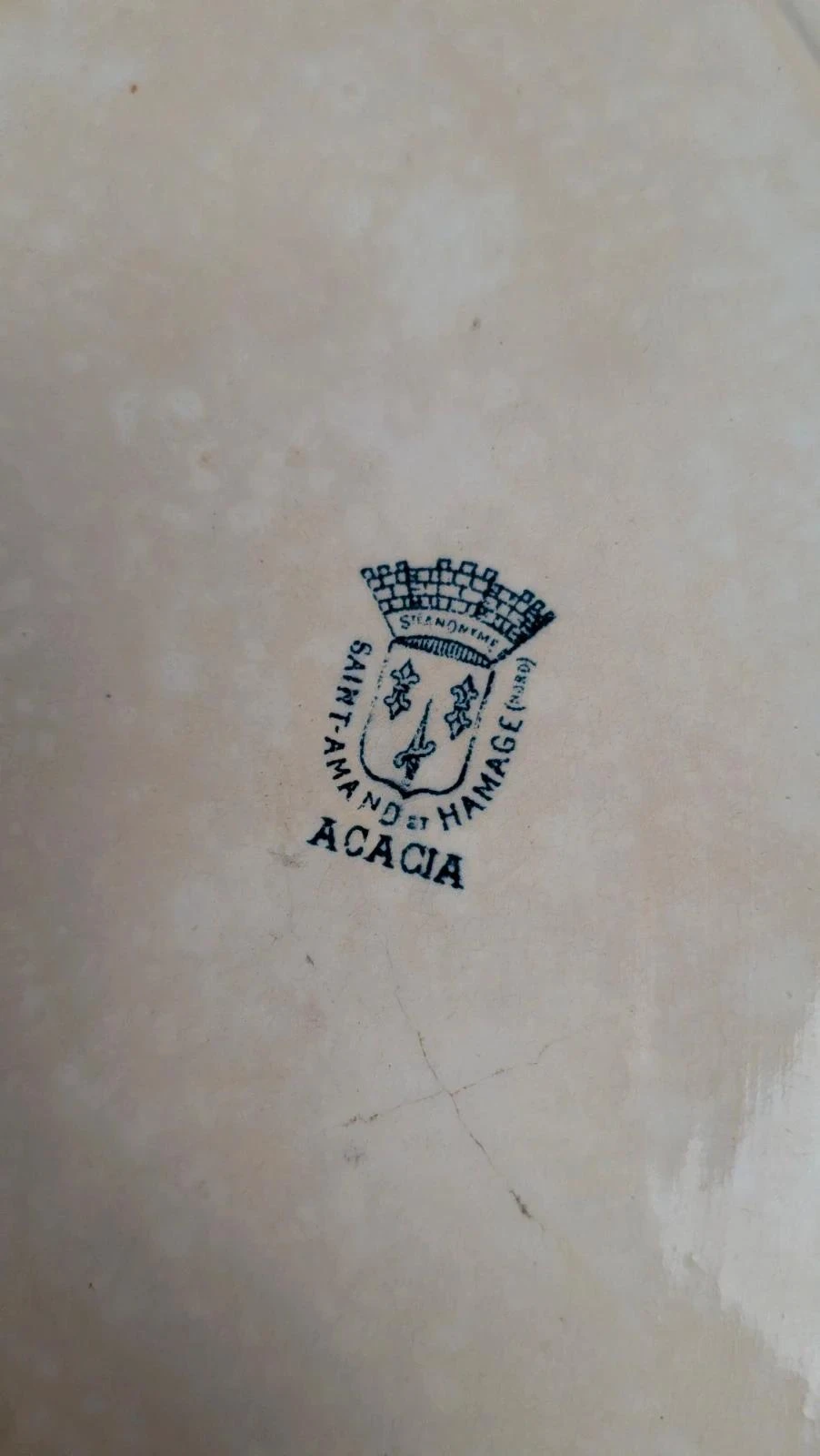 Prato oval antigo Saint-amand Hamage modelo Acacia – photo 7